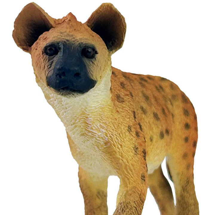 Safari Ltd. Spotted Hyena #110028 - Face View
